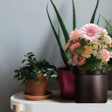 Load image into Gallery viewer, Flower Pot 4K Camera Wifi