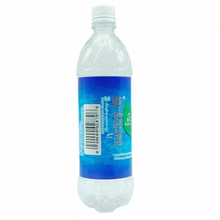 Load image into Gallery viewer, Water Bottle Camera 4G 4K